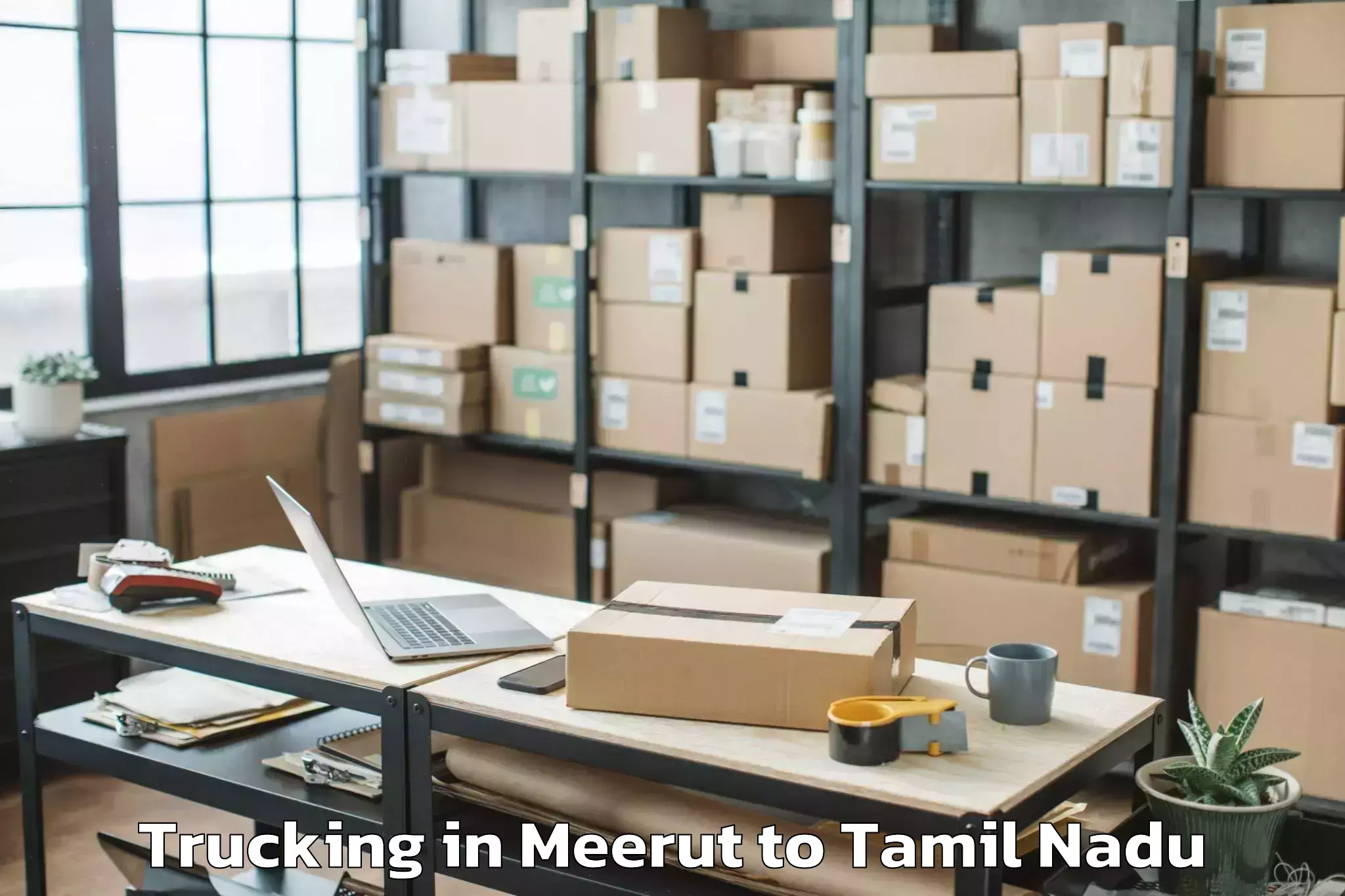 Top Meerut to Madukkur Trucking Available